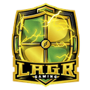LAGr Gaming (callofduty)