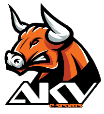 AKV E-Sports