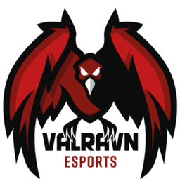 Valravn Esports(counterstrike)