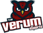Verum eSports(counterstrike)