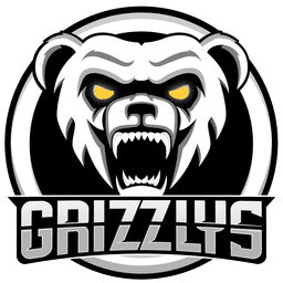Grizzlys Esports(overwatch)