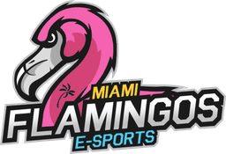 Miami Flamingos