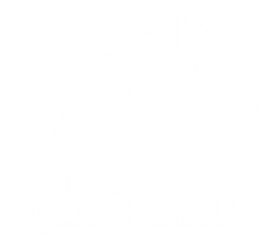 Regional Clash Arena Europe