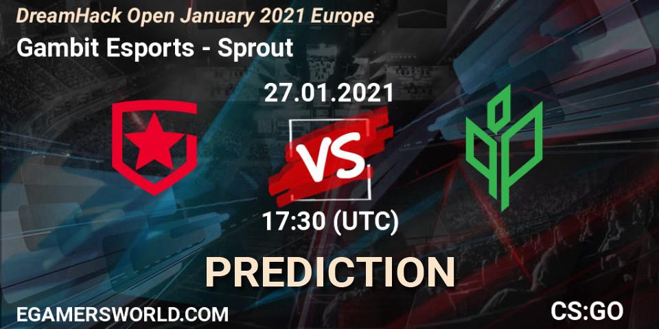 Gambit Esports contre Sprout : prédiction de match. 27.01.21. CS2 (CS:GO), DreamHack Open January 2021 Europe
