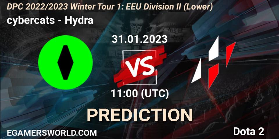 cybercats contre Hydra : prédiction de match. 31.01.23. Dota 2, DPC 2022/2023 Winter Tour 1: EEU Division II (Lower)