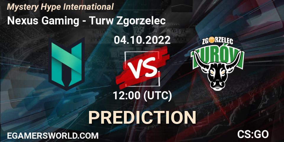 Nexus Gaming contre Turów Zgorzelec : prédiction de match. 04.10.2022 at 12:00. Counter-Strike (CS2), Mystery Hype International