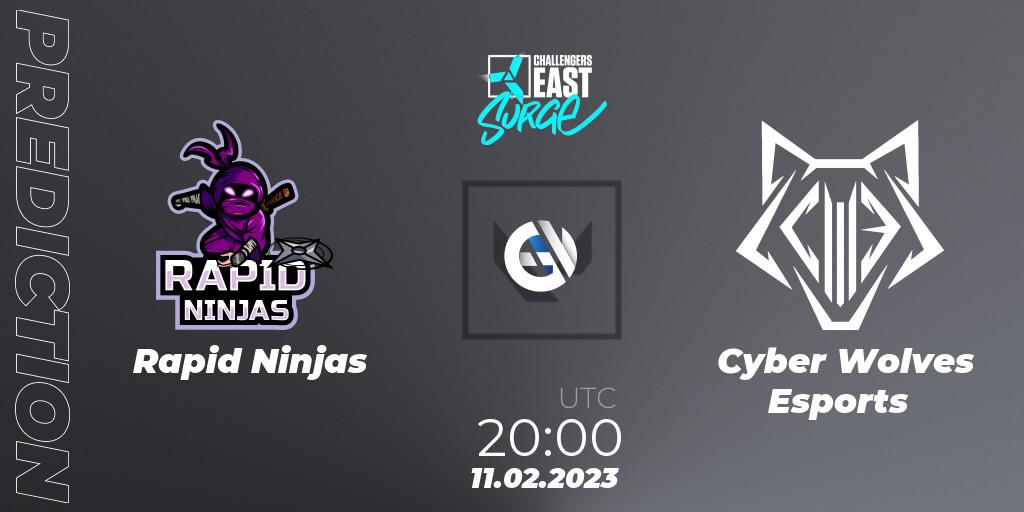 Rapid Ninjas contre Cyber Wolves Esports : prédiction de match. 11.02.23. VALORANT, VALORANT Challengers 2023 East: Surge Split 1