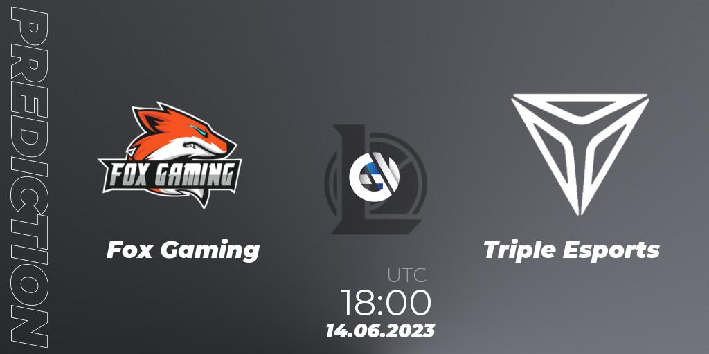 Fox Gaming contre Triple Esports : prédiction de match. 14.06.2023 at 18:15. LoL, Arabian League Summer 2023 - Group Stage