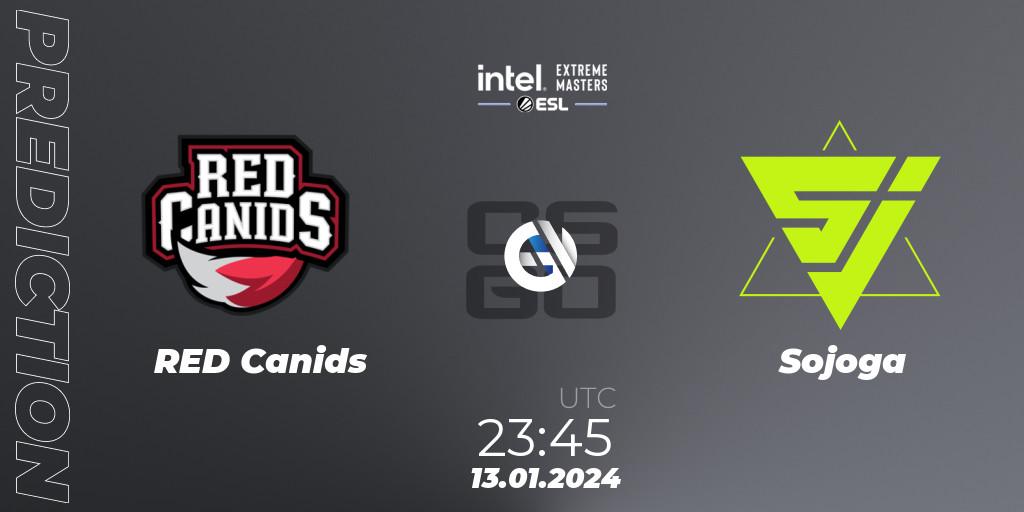 RED Canids contre Sojoga : prédiction de match. 13.01.2024 at 23:45. Counter-Strike (CS2), Intel Extreme Masters China 2024: South American Open Qualifier #1