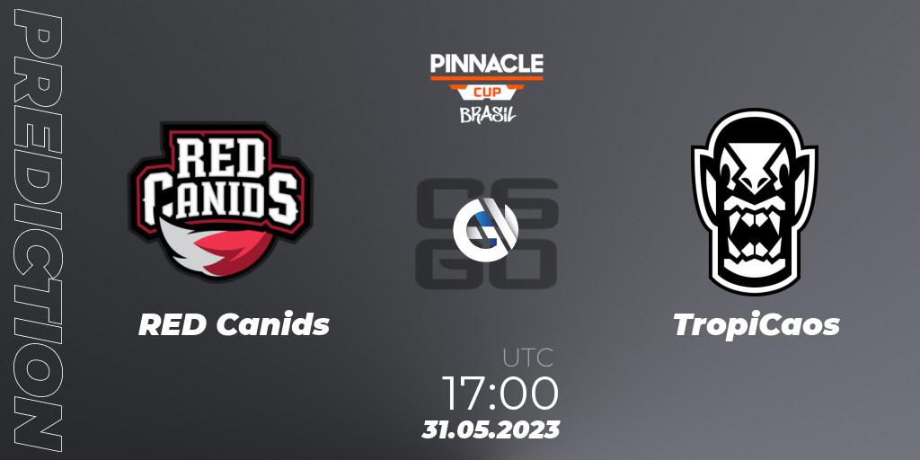 RED Canids contre TropiCaos : prédiction de match. 31.05.2023 at 17:00. Counter-Strike (CS2), Pinnacle Brazil Cup 1