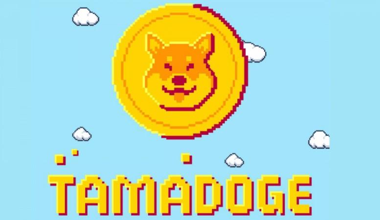 Tamadoge — une autre tentative de hype sur Dogecoin ou une grande nouveauté dans le monde des jeux NFT-  ?