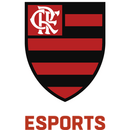 Flamengo Academy(lol)