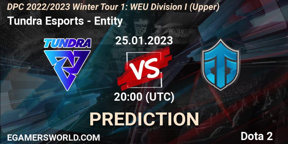 Tundra Esports contre Entity : prédiction de match. 25.01.23. Dota 2, DPC 2022/2023 Winter Tour 1: WEU Division I (Upper)